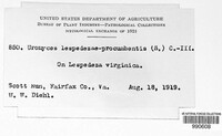 Image Associated With the Occurence
